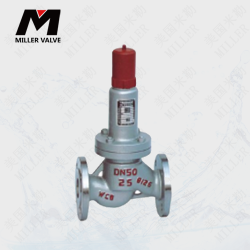 進(jìn)口安全回流閥