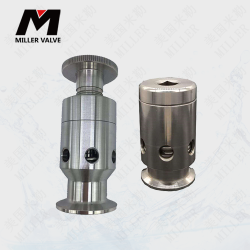 進(jìn)口不銹鋼排氣閥