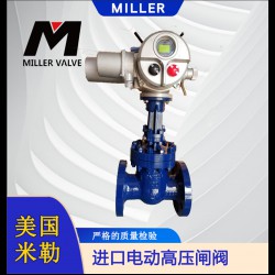 進口電動高壓閘閥