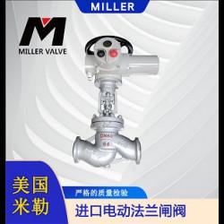 進口電動法蘭閘閥