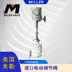 進口電動針型閥