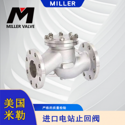 進口電站止回閥
