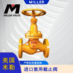 進(jìn)口氨用截止閥