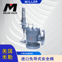 進(jìn)口先導(dǎo)式安全閥