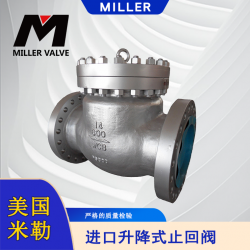 進口升降式止回閥