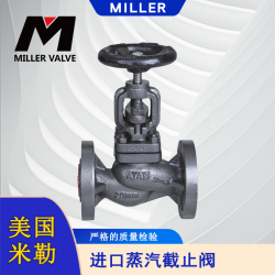 進(jìn)口蒸汽截止閥