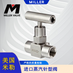 進口蒸汽電動針型閥