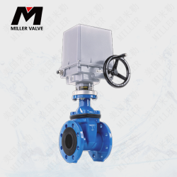 進口電動美標閘閥