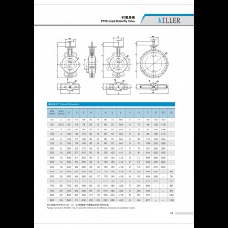 進(jìn)口襯氟蝶閥