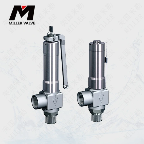 進(jìn)口氫氣安全閥