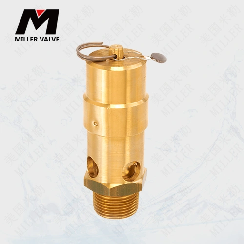 進(jìn)口空壓機安全閥