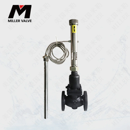 進(jìn)口溫控閥