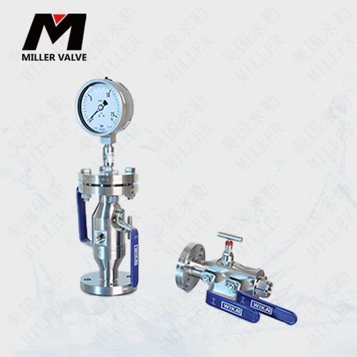 進(jìn)口儀表閥