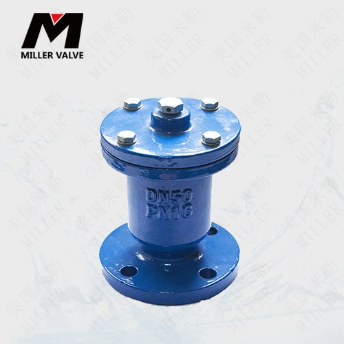 進(jìn)口污水排氣閥