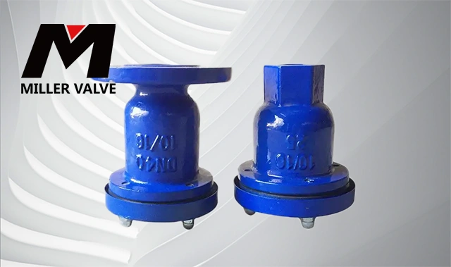 進(jìn)口法蘭排氣閥是