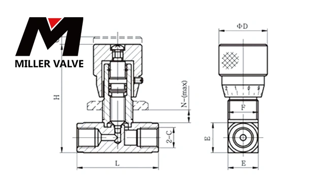 進(jìn)口蒸汽過濾器