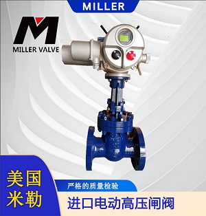 進口電動高壓閘閥