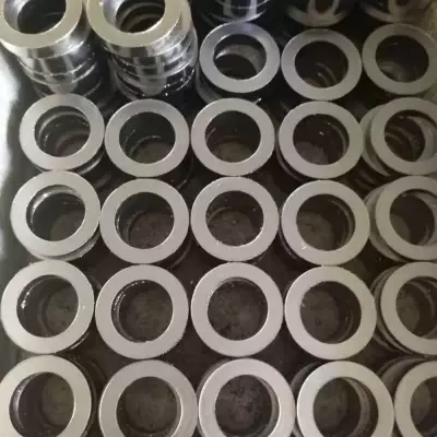 進(jìn)口閘閥的填料(Packing)