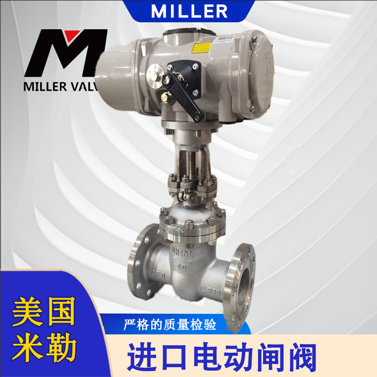 進(jìn)口電動閘閥