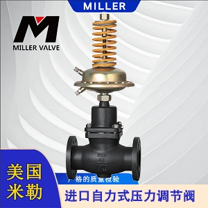 進口自力式壓力調節(jié)閥