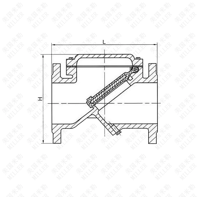 進(jìn)口止回閥